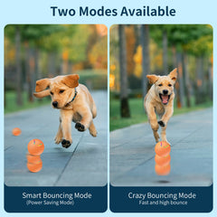 Rechargeable LED Pet Toy Ball
