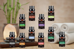 Organic Essential Oils Set Aromatherapy Oil For Diffuser