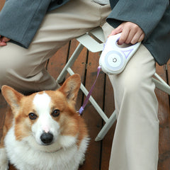 Retractable Spotlight Dog Collar Traction Rope Leash