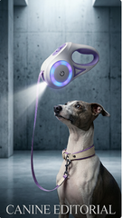 Retractable Spotlight Dog Collar Traction Rope Leash